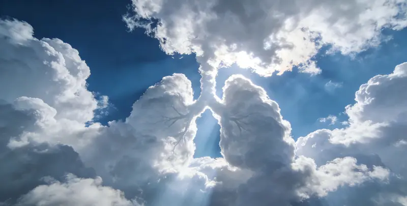 阿勒泰肺癌8基因突变检测（组织）图片1