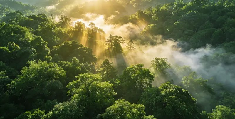 阿勒泰肺癌49基因检测图片1